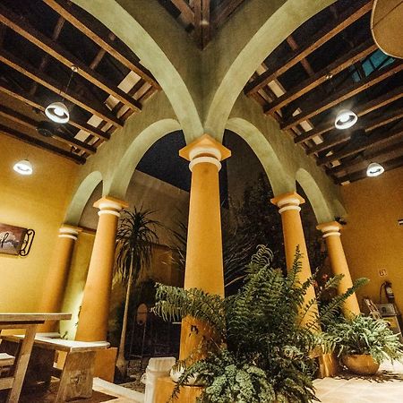 Snail Bed & Breakfast (Adults Only) San Cristóbal de Las Casas Eksteriør billede