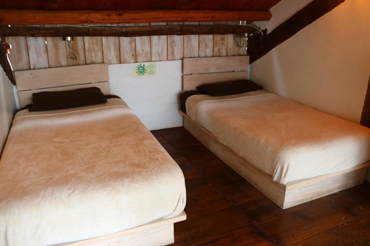 Snail Bed & Breakfast (Adults Only) San Cristóbal de Las Casas Eksteriør billede