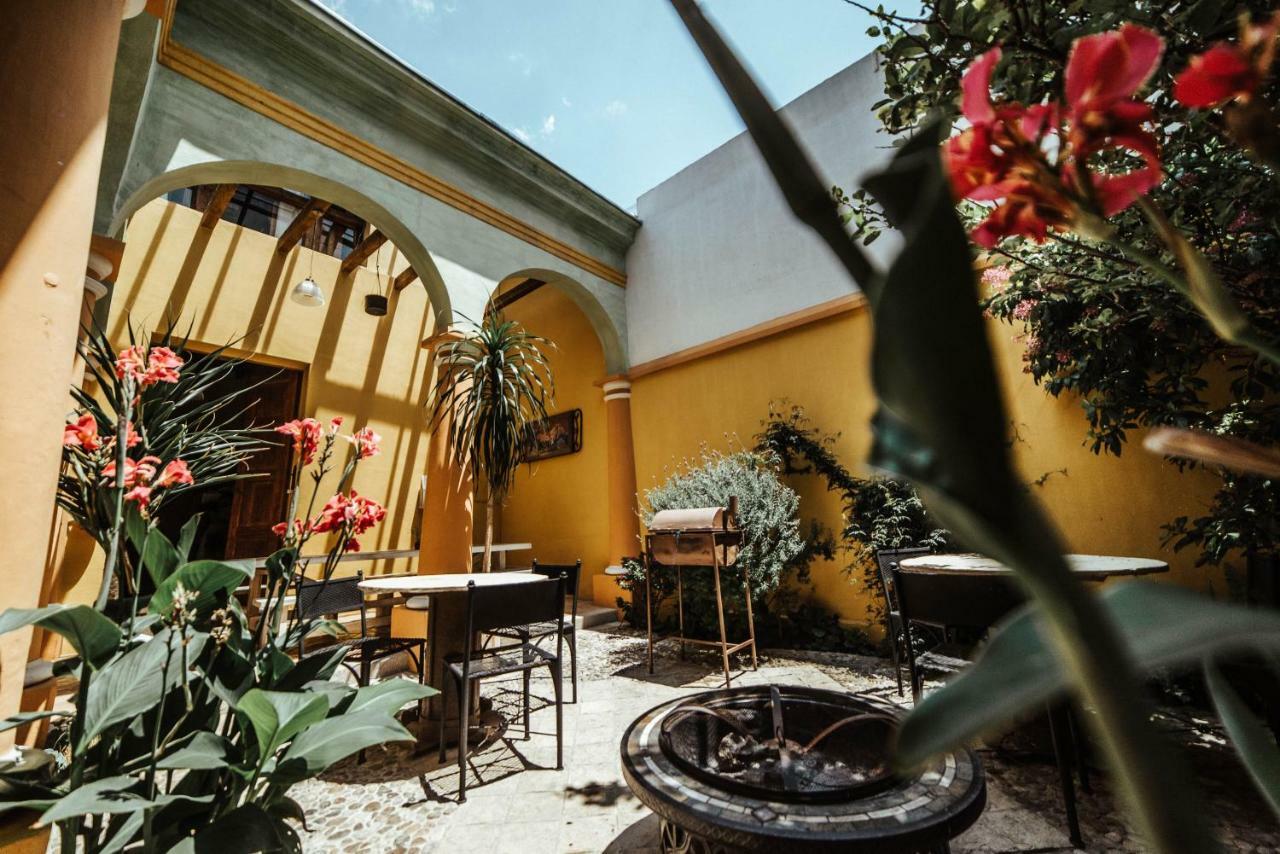 Snail Bed & Breakfast (Adults Only) San Cristóbal de Las Casas Eksteriør billede