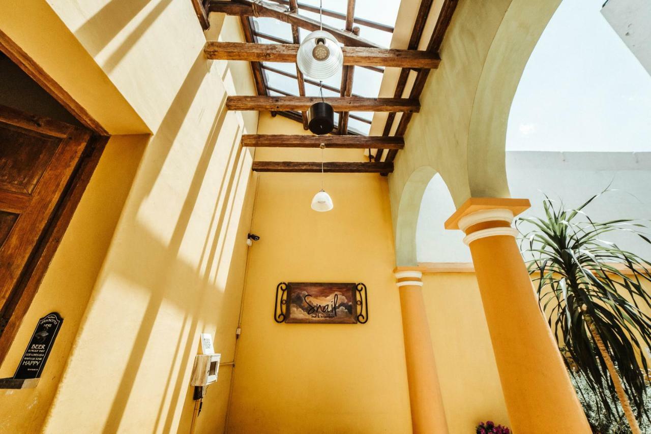 Snail Bed & Breakfast (Adults Only) San Cristóbal de Las Casas Eksteriør billede