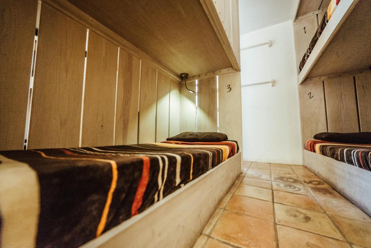 Snail Bed & Breakfast (Adults Only) San Cristóbal de Las Casas Eksteriør billede